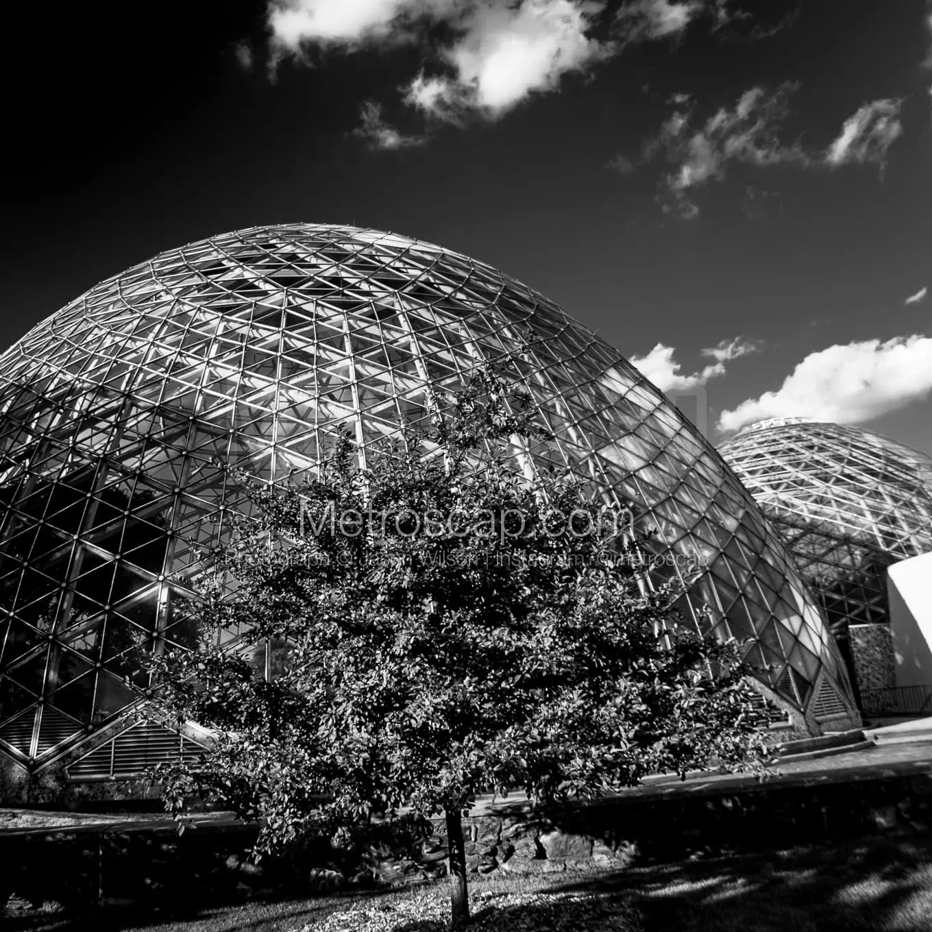 Milwaukee Pictures Black & White. Mitchell Park Domes Black And White