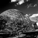 Square The Mitchell Park Domes black and white Photos