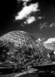 Vertical The Mitchell Park Domes black and white Photos