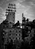 Vertical The Mill City Ruins Photography