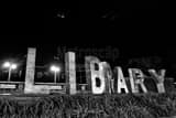 Horizontal The Walker Library Sign Photography