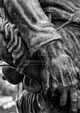 Vertical West Virginia Mountaineer Statue Rifle Photography