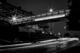 Horizontal West Virginia University at Night black and white Pictures