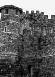 Vertical The Castello di Amorosa Castle black and white Photos