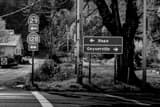 Horizontal Napa California on CA-29 black and white Photos