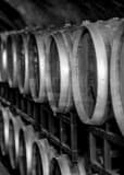 Vertical Wine Barrels black and white Photos