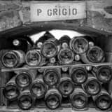 Square Stacked Pino Grigio Bottles black and white Photos
