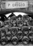 Vertical Stacked Pino Grigio Bottles black and white Photos