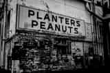 Horizontal A Planters Peanut Shop black and white Photography