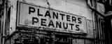 Panoramic A Planters Peanut Shop black and white Photography