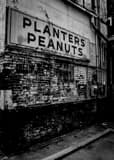 Vertical A Planters Peanut Shop black and white Photography