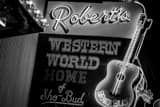 Horizontal The Neon Sign for Roberts Western World Photography