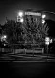Vertical Route 62 in New Albany black and white Photos