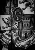Vertical Armas Coat of Arms Framed Photos