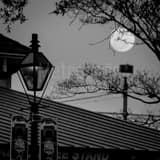 Square A Full Moon Above Cafe du Monde black and white Photos