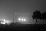 Horizontal Early Morning Fog on Lake Ponchartrain black and white Photos