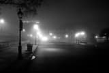 Horizontal Decatur Street and Jax Brewery in Fog black and white Photos