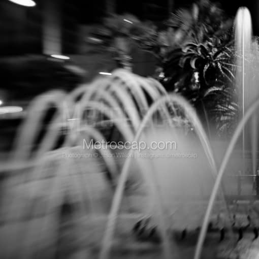 The Fountains at Harrahs -- New Orleans Black and White Photos