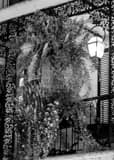 Vertical A French Quarter Balcony Framed Photos