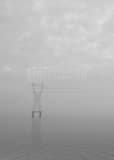 Vertical High Voltage Wires Cross Lake Ponchartrain black and white Photos