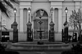 Horizontal Jackson Square Street Lamps black and white Photos