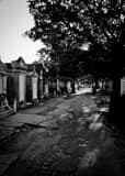 Vertical Lafayette Cemetery Framed Photos