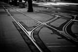 Horizontal Streetcar Tracks on Canal Street Framed Photos
