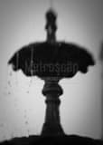 Vertical The Fountain in Jackson Square black and white Photos