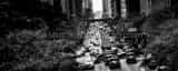 Panoramic The Canyons of Manhattan black and white Pictures