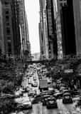 Vertical The Canyons of Manhattan black and white Pictures