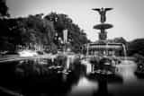 Horizontal The Bethesda Fountain in Central Park black and white Pictures