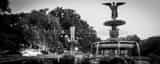 Panoramic The Bethesda Fountain in Central Park black and white Pictures