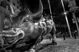 Horizontal The Bowling Green Bull black and white Pictures
