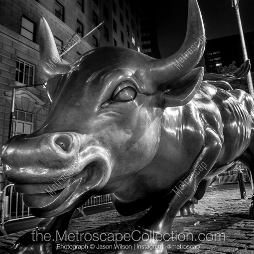 The Bowling Green Bull -- New York City Black and White Photography