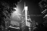 Horizontal Bryant Park at Night black and white Pictures