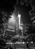 Vertical Bryant Park at Night black and white Pictures