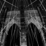 Square The Web of Cable on the Brooklyn Bridge Framed Photos