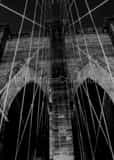 Vertical The Web of Cable on the Brooklyn Bridge Framed Photos