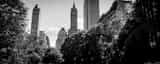Panoramic The Central Park Pond Photography