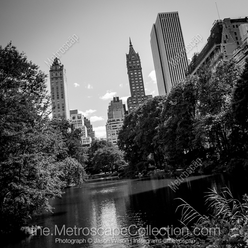 The Central Park Pond -- New York City Black and White Photography