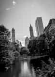 Vertical The Central Park Pond Photography