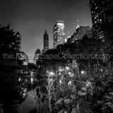 Square The Pond at Night Photography