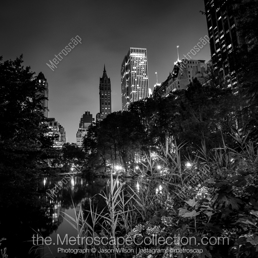 The Pond at Night -- New York City Black and White Photography