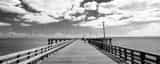 Panoramic A Sea Gull Swoops Down on to the Coney Island Pier Photography