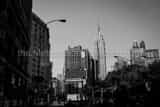 Horizontal The Flatiron District adjacent to Madison Square Park black and white Pictures