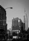 Vertical The Flatiron District adjacent to Madison Square Park black and white Pictures