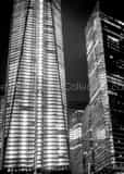 Vertical The Freedom Tower Photography