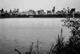 Horizontal The New York City Skyline from Central Park Photography