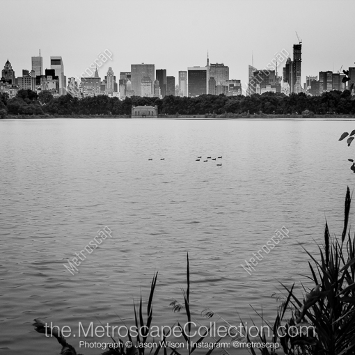 New York City Black and White Photography of The New York City Skyline from Central Park The New York City Skyline from Central Park -- New York City Black and White Photography