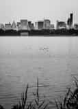 Vertical The New York City Skyline from Central Park Photography